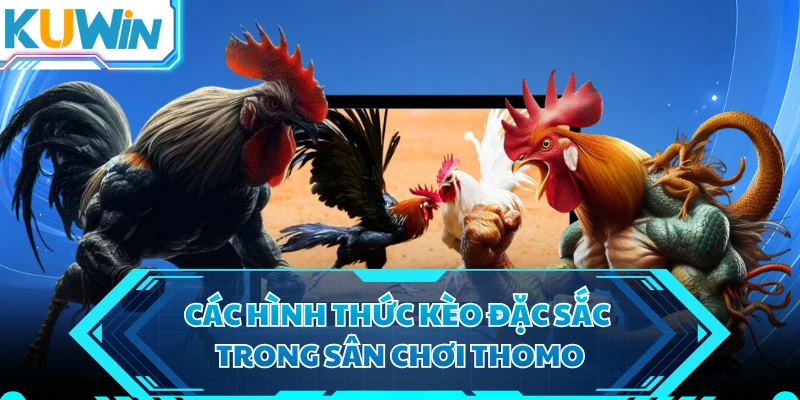 Các hình thức kèo đặc sắc trong sân chơi Thomo 