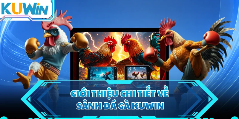 Giới thiệu chi tiết về sảnh đá gà KUWIN 