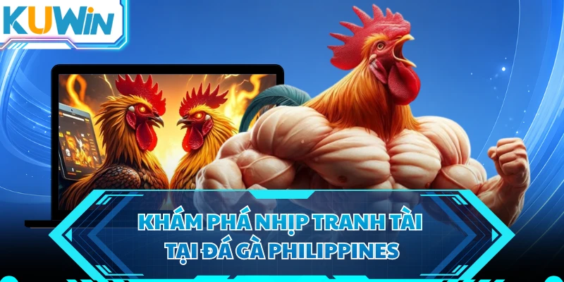 Khám phá nhịp tranh tài tại đá gà Philippines 