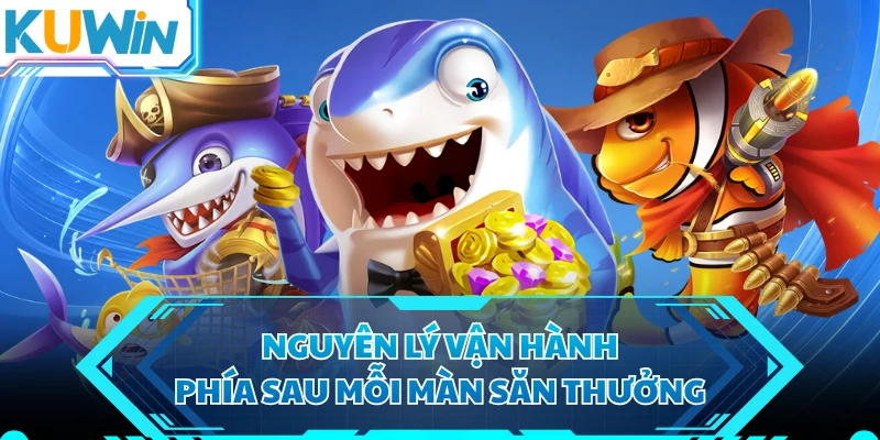 Nguyên lý vận hành phía sau mỗi màn săn thưởng 