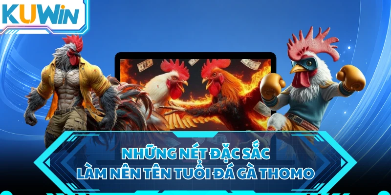 Những nét đặc sắc làm nên tên tuổi đá gà Thomo 