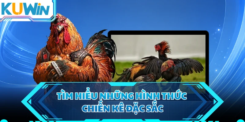 Tìm hiểu những hình thức chiến kê đặc sắc 
